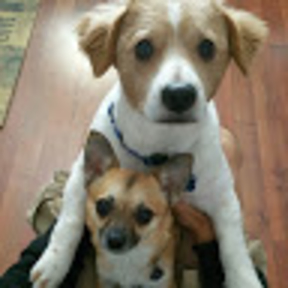 Meet your Posher, Adrian - Picture 1 of 1